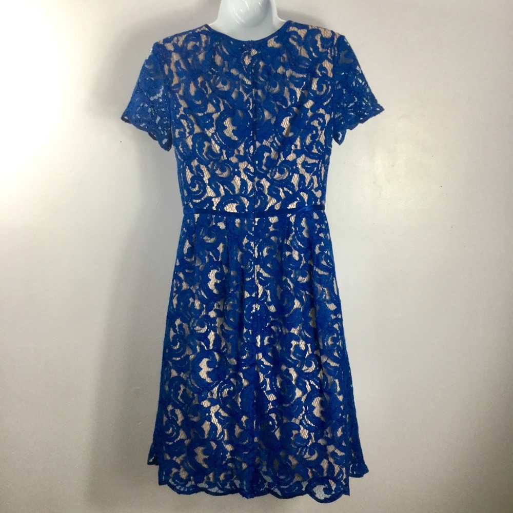 Adrianna Papell Scalloped Lace Dress Size 2 - Picture 6 of 9